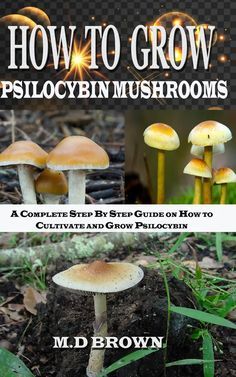 Psychoactive Plants, Psilocybin Mushrooms, Growing Mushrooms At Home, Mushroom Benefits, Mushroom Cultivation, Garden Mushrooms, Edible Mushrooms, Wild Mushrooms, Medicinal Herbs