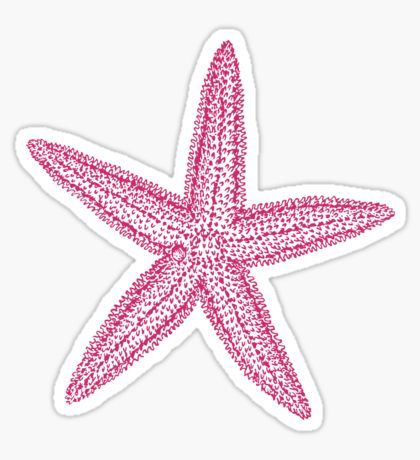 Pink starfish Sticker Starfish Sticker, Pink Starfish, Stickers Cool, Preppy Stickers, Stella Marina, Cute Laptop Stickers, Vinyl Bumper Stickers, Scrapbook Stickers Printable, Phone Stickers