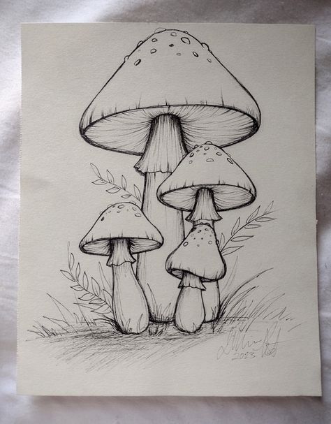 Cute Boho Drawings, Sketch Ideas Mushroom, Sketch Of Mushroom, Mushroom Pencil Sketch, Simple Drawings Nature, Sketch Book Mushroom, Pen Flowers Drawing, Sketch Ideas With Pen, Mashrooms Drawing Ideas Easy