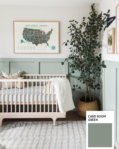 Nursery With Wainscoting, Green Kids Rooms, Nursery Paint, Nursery Themes Neutral, Outdoor Nursery, Nursery Room Design, Green Nursery, Baby Room Design, Room Deco