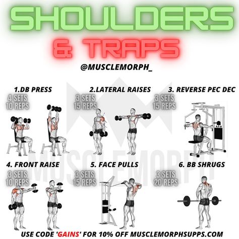 Traps Workout At Home, 4 Day Workout Routine, Shoulder Day Workout, Darbee Workout, Shoulder And Trap Workout, Trap Workout, 4 Day Workout, Back And Bicep Workout, Shoulder Workout Routine