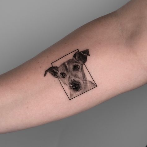 Had a blast inking this Jack Russell tattoo for Emmelie. 🤍 Simply because she loves her pup so much. Anyone else got a pet tattoo? Drop it in the comments! . . . . . . . #tattoodesign #tattoo #tattoos #tattooart #tattooartist #tattooideas #ink #art #tattoolife #inked #tattooed #tattooist #tattooing #tattooink #loistacke.tattoo #tattooflash #dogtattoo #artist #drawing #loistacke #tattoolove #blackandgreytattoo #tattooinspiration #tattoomodel #traditionaltattoo #tattooidea #tattoogirl #tattoos... Jack Russell Tattoo, Optical Illusion Tattoo, Jack Russel, Trash Polka Tattoo, Tattoo Model, Dog Tattoo, Life Tattoos, Having A Blast, Black And Grey Tattoos