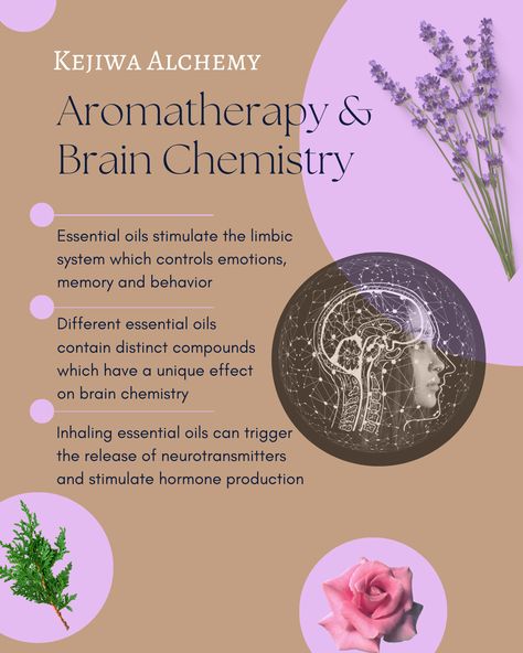 What Is Aromatherapy, Aromatherapy Aesthetic, Essential Oil Roller Bottle Recipes, Head Spa, Wellness Board, Best Essential Oil Diffuser, Lavender Benefits, Product Knowledge, Candle Brand