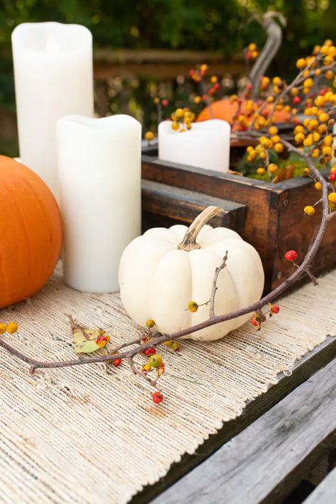 Vintage items mixed with nature to create a pretty table | Finding Silver Pennies #thanksgiving #tablescapeideas #thanksgivingideas #entertaining #pumpkins #bittersweet Bittersweet Aesthetic, Pumpkin Tablescape, Cedar Table, Pine Cone Christmas Tree, Old Crates, Pressed Leaves, Picture Frame Molding, Thanksgiving Table Settings, Leaf Wall Art