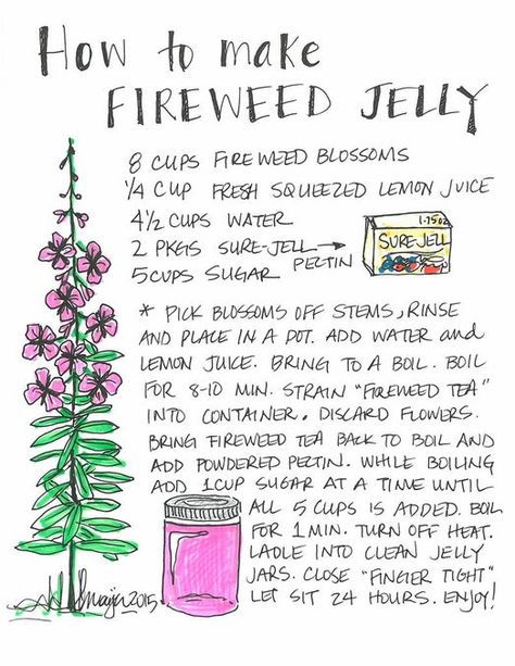 Fireweed Jelly (or Other Edible Flower Jelly): 4 Steps Fireweed Jelly, Fireweed Flower, Flower Jelly, Foraging Recipes, Canned Food Storage, Jelly Recipe, Foraged Food, Herbal Recipes, Jam And Jelly