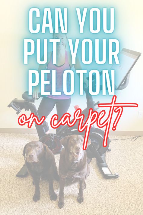 Peloton On Carpet, Peloton Treadmill Room Ideas, Peloton In Living Room, Peloton In Bedroom Ideas, Peloton In Bedroom, Peloton Workout Room, Peleton Cycle, Workout Nook, Peloton Room Ideas