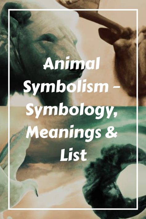 Do you ever feel like a spirit animal is watching over you? Many people believe in animal symbolism and the power of spirit animals. Each spirit animal has its own unique set of qualities and characteristics that can teach us about ourselves. This blog post will explore the animal symbology and meanings behind some of the most common spirit animals. We will also discuss how to connect with your personal spirit animal. Are you ready to learn more? Power Animal Spirit Guides, Symbolic Animal Tattoos, Animal Meanings Symbols, Finding Your Spirit Animal, Animal Symbolism Tattoo, Animal Omens Meaning, Animal Meanings Tattoos, Animals With Meaning, Meaningful Animal Tattoos