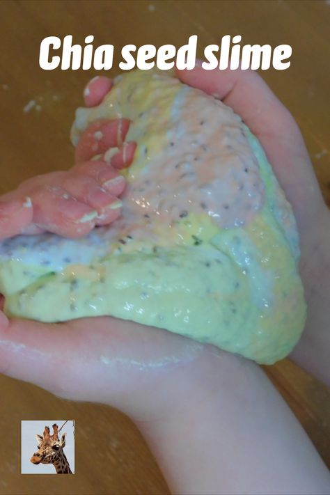 We made slime from chia seeds, water and cornflour (cornstarch) plus food colouring to give a rainbow effect.  Fun to make with children, and an intriguing substance to play with, behaving like a mix between a solid and a liquid.  Less messy than oobleck. #chiaseeds #slime #chiaslime #rainbowslime #sensoryplay #scienceathome #makingslime #preschoolscience #primaryscience #kidsscience Chia Seed Slime, Chia Seeds Water, Cornstarch Slime, Rainbow Slime, Primary Science, How To Make Slime, Food Colouring, Preschool Science, Science For Kids