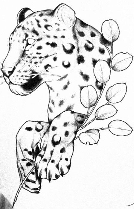 Groot Tattoo, Baby Tattoo Designs, Leopard Tattoos, Tiger Tattoo Design, Tiger Drawing, Pencil Drawings Of Animals, Small Tattoos Simple, Tattoo Design Book, Baby Tattoos