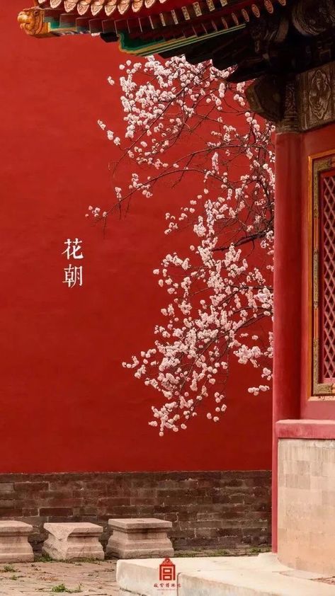 Ancient China Aesthetic, Guerriero Samurai, Chinese Background, Chinese Wallpaper, Chinese Aesthetic, Japon Illustration, Forbidden City, Japan Aesthetic, Art Japonais