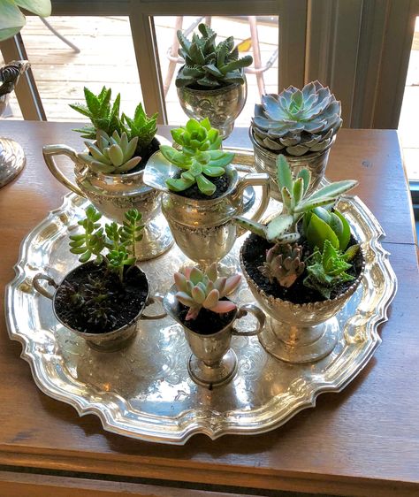 Plants In Antique Containers, Silver Tray Centerpiece, Decorating With Silver Pieces, Silver Tray Decor, Silver Plate Decor, Antique Booth Ideas, Silver Display, Succulent Garden Design, Thrift Store Decor