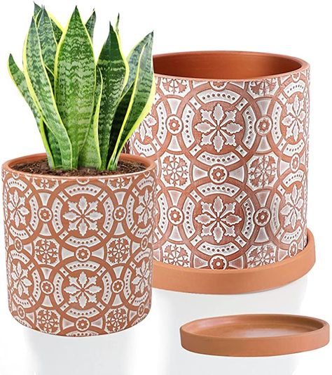 Clay Pots For Plants, Cactus Plant Pots, White Patio, Pots For Plants, Clay Crafts For Kids, Pot Painting, Modern Plant Stand, Ceramic Planter Pots, Terracotta Planter