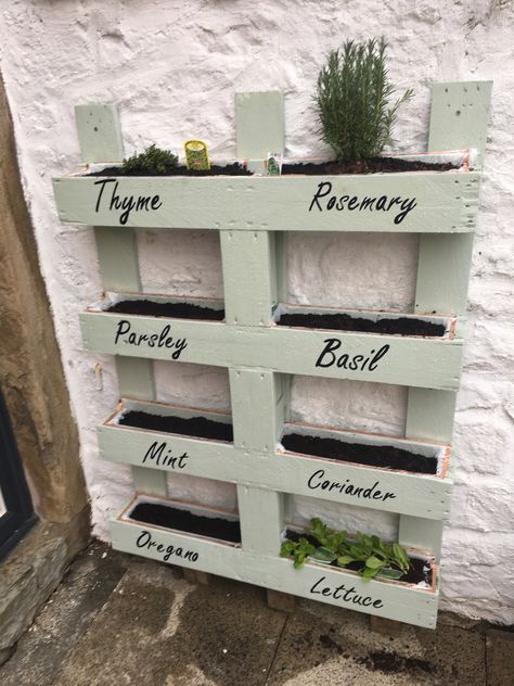 Wood Pallet Herb Garden Vertical Planter, Planter Boxes Herbs, Herb Garden Palette, Planting With Pallets, Diy Herb Garden Pallet, Herb Planters Diy, Gardening Pallet Ideas, Planter Boxes With Pallets, Herb Garden Wall Ideas