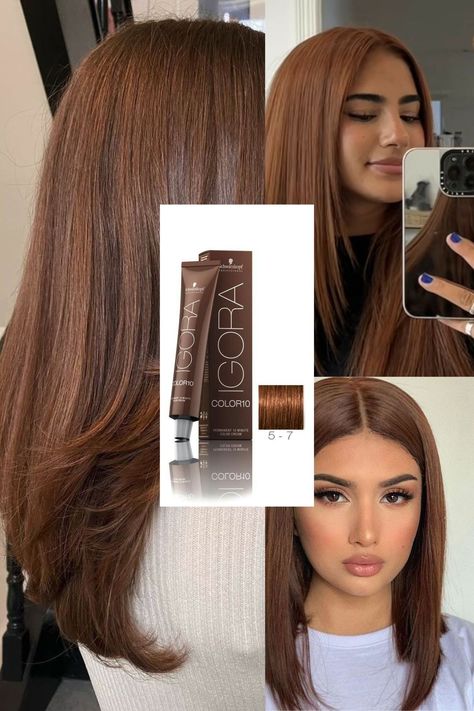 Igora Hair Color Brown, Pelo Color Chocolate, Chocolate Pelo, Maple Brown Hair, Pelo Chocolate, Rambut Brunette, Honey Brown Hair, Brown Hair Looks, Brown Hair Inspo