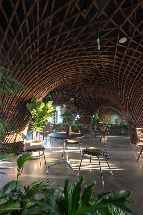 Vtn Architects, Bamboo Restaurant, Fasad Design, Interior Design Colleges, Dome Structure, Bamboo Structure, Bamboo Architecture, Outdoor Landscape Lighting, Bamboo House