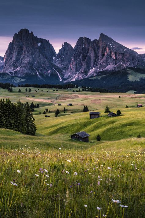 Seiser Alm or Alpe di Suisi is the largest high altitude Alpine meadow in Europe. Located in Italy's South Tyrol province in the Dolomites mountain range.   Location: Alpe di Suisi, South Tyrol, Italy 🇮🇹 Nature, Switzerland Mountains, Mountain Lover, Alpine Meadow, South Tyrol, The Mountains Are Calling, Beautiful Places To Travel, Travel Goals, Travel Inspo