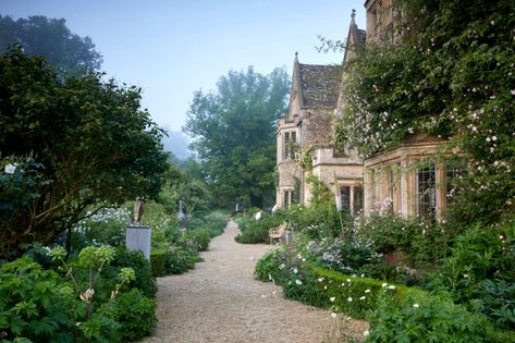 Stone and Roses: Asthall Manor in the Cotswolds - Gardenista A Fraction Of The Whole, White Climbing Roses, Gravetye Manor, Pleasure Garden, Landscaping With Roses, Manor Garden, Stone Roses, Public Garden, Garden Tours