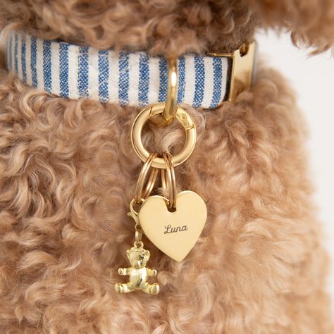 Is your BFF a teddy bear who loves to cuddle? This gold bear charm is the perfect collar attachment for dogs who love to snuggle. Easily attaches to the D ring of your dog’s collar with either the split ring or lobster clasp (both included) 3D design featuring a textured finish and hollowed back to keep it lightweight Dog Collar Ideas, Foggy Dog, The Foggy Dog, Dog Accesories, Dog Collar Charms, Puppy Accessories, Cute Dog Collars, Dogs Breeds, Dog Essentials