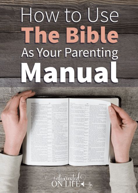 Scriptural Encouragement, Studying Scripture, Biblical Parenting, Raising Godly Children, Confidence Kids, Soli Deo Gloria, Brain Cells, Parenting Help, Life Guide