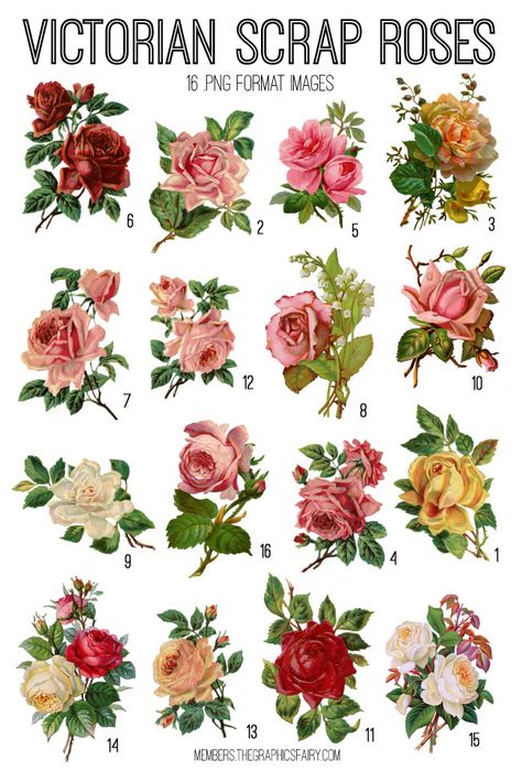 Victorian Scrap Roses Image Kit! Graphics Fairy Premium Membership Victorian Rose Illustration, Victorian Scrap Printables Free Images, Victorian Floral Pattern, Victorian Motifs, Photo Album Journal, Clock Flower, Photoshop Brush Set, The Graphics Fairy, Decoupage Tissue Paper