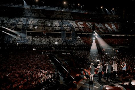 One Direction Live, 1d Concert, Stadium Wallpaper, Milan Ac, Stadium Art, One Direction Wallpaper, Best Online Stores, One Direction Concert, One Direction Pictures