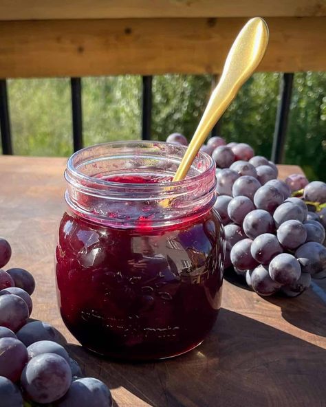 Stilton Cheese Recipes, Concord Grape Recipes, Grape Jam Recipe, Concord Grapes, Food Tiktok, Grape Jam, Grape Recipes, White Grape, Grape Jelly