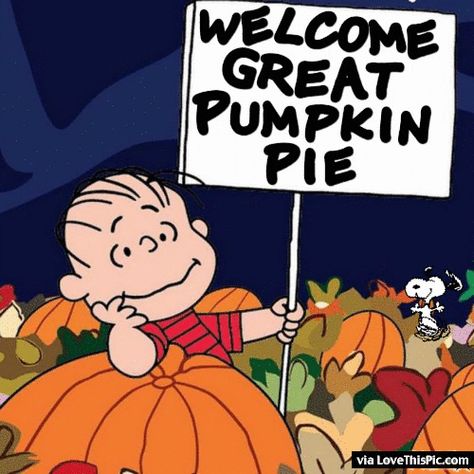 Welcome Great Pumpkin Pie thanksgiving thanksgiving pictures thanksgiving quotes thanksgiving quote happy thanksgiving quotes thanksgiving gifs thanksgiving quotes for family thanksgiving quotes for friends charlie brown thanksgiving Welcome Great Pumpkin, Family Friendly Halloween Movies, Great Pumpkin Charlie Brown, Good Morning Love Gif, Charlie Brown Halloween, Pumpkin Pictures, Peanuts Halloween, Thanksgiving Pictures, Halloween Memes