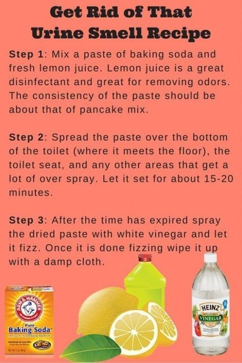 Toilet Cleaning Hacks, Homemade Toilet Cleaner, Clean Baking Pans, Urine Smells, Deep Cleaning Tips, Household Cleaning Tips, Cleaning Recipes, Clean Dishwasher, Toilet Cleaning