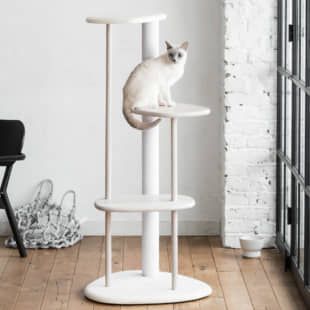 Cat Furniture Design, Katt Grejer, Diy Cat Tree, Modern Cat Tree, Cat Climbing, Modern Cat, Cat Tower, Scratching Post, Cat Room