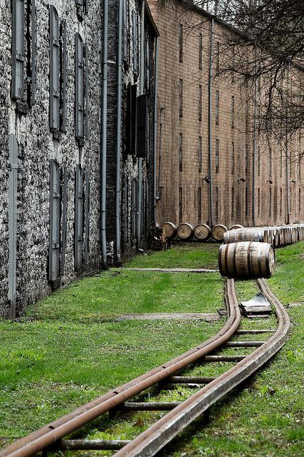 before the bottle Bourbon Distillery, Woodford Reserve Distillery, Bourbon Room, The Distillers, Kentucky Bourbon Trail, Home Wine Cellars, Whisky Tasting, Kentucky Bourbon, Wine Barrels