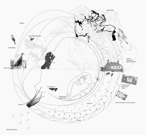 Stakeholder Analysis Architecture, Architecture Narrative Diagram, Landscape Architecture Mapping, Landscape Analysis Diagram, Ecosystem Architecture, Ecosystem Drawing, Ecosystem Diagram, Landscape Section, Landscape Architecture Section