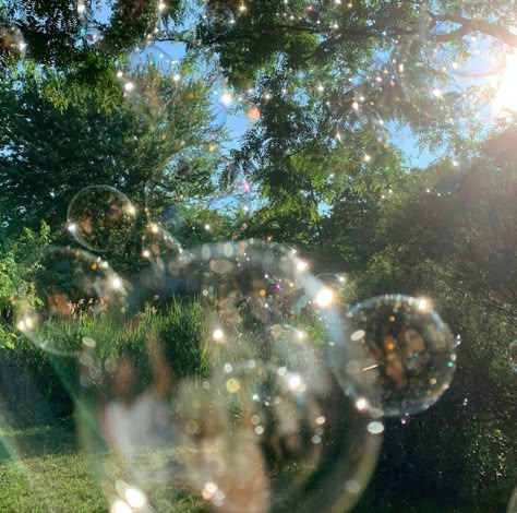 숲 사진, Soap Bubbles, Foto Ideas Instagram, Alam Yang Indah, Nature Aesthetic, Green Aesthetic, الرسومات اللطيفة, Sunny Day, Aesthetic Photo