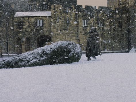 Pin for Later: 13 Places Every Harry Potter Fan MUST Visit in the UK  Here's Hagrid pulling the Christmas tree through the snow at Alnwick (as Hogwarts) in Harry Potter and the Sorcerer's Stone. Ron Y Hermione, Film Harry Potter, Beau Gif, Hogwarts Christmas, Rubeus Hagrid, Alnwick Castle, Cho Chang, Hogwarts Aesthetic, Harry Potter Christmas