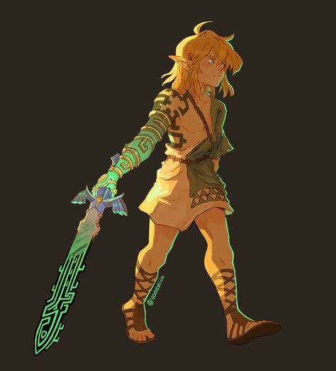 Legend Of Zelda Tears Of The Kingdom, Hero's Shade, Zelda Fanart, Link Cosplay, Zelda Botw, Link Zelda, Nintendo Art, Model Sheet, Dramatic Lighting