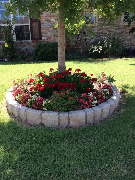 Moderne Have, Landscaping Around Trees, Trees And Flowers, Garden Flower Beds, Flower Arrangements Diy, Garden Yard Ideas, Front Yard Garden, Bed Ideas, Front Yard Landscaping Design