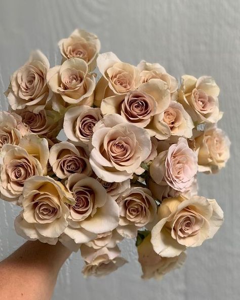 Urban Elements | Ronna Newsom on Instagram: "It’s quite possible I’ve found the perfect rose for your taupe wedding. May I introduce you to “Metallina”! . . . . ##peterkortroses #taupewedding #beigewedding #nudewedding #fleshroses #petiteroses #portlandweddingflorist #modernwedding" Neutral Flower Wedding, Neutral Colored Flowers, Taupe Wedding Florals, Beige Flower Arrangements, Toffee Roses Wedding, Brown Wedding Flowers, Micro Ceremony, Taupe Roses, Bronze Flowers