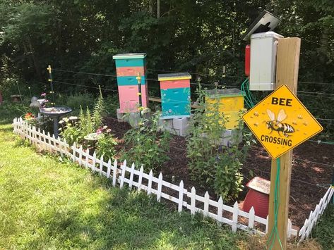 Bee Yard, painted #beehives #apiary #beekeeping Honey Bee Apiary, Beehive Garden Backyard Beekeeping, Backyard Beekeeping Setup, Bee Apiary Design, Bee Yard Design, Painted Bee Hives Boxes, Bee Yard Ideas, Bee Hive Ideas, Painted Beehives Ideas