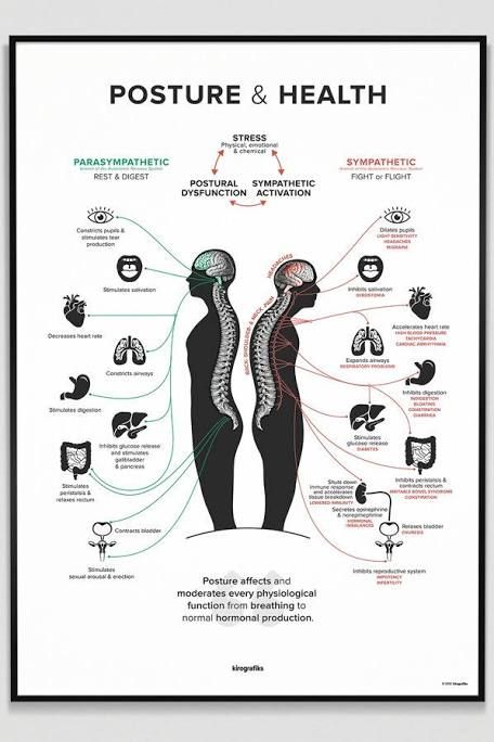 Causes Of Back Pain, Improve Your Posture, Posture Exercises, Cold Sores Remedies, Reduce Tension, Natural Sleep Remedies, Proper Posture, Natural Cough Remedies, Poor Posture