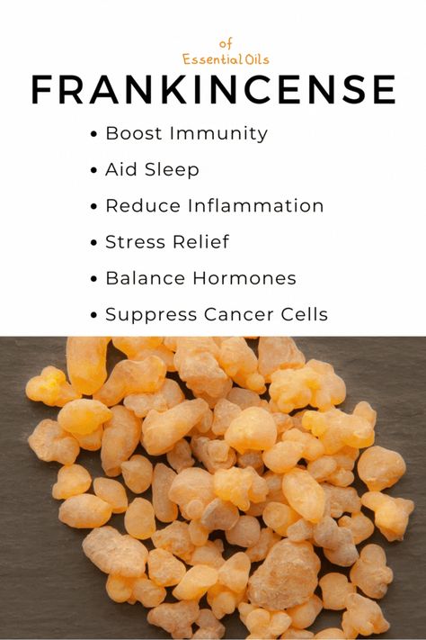 Unveil the holistic benefits of frankincense essential oil, revered for centuries for its remarkable healing properties. From boosting immunity to promoting relaxation and beyond, explore the versatile uses of this ancient remedy for a healthier, more balanced life. Elevate your well-being with pure, therapeutic-grade frankincense essential oil today!

#sponsored #frankincense #NaturalRemedy #aromatherapy #SkinHealth Frankensence Oil Uses, Frankensence Oil, Benefits Of Frankincense Essential Oil, Benefits Of Frankincense Oil, Benefits Of Frankincense, Frankincense Essential Oil Benefits, Frankincense Benefits, Boosting Immunity, Frankincense Oil