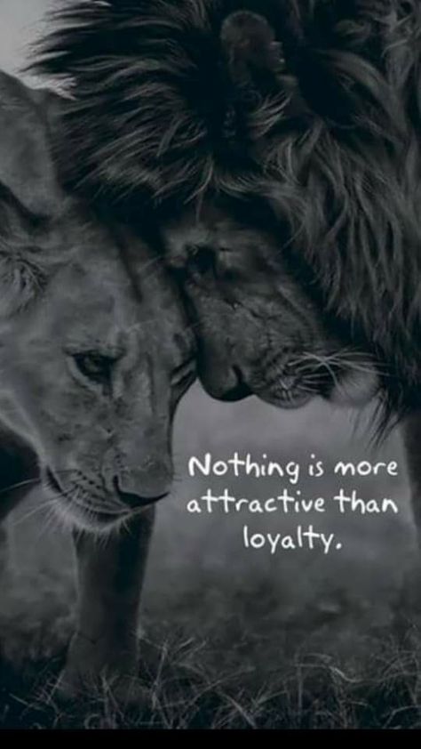 Lioness Quotes, Beast King, I Love You Husband, Couple Quote, Perseverance Quotes, Lion Quotes, Texas Houston, Soul Love Quotes, Lions Photos