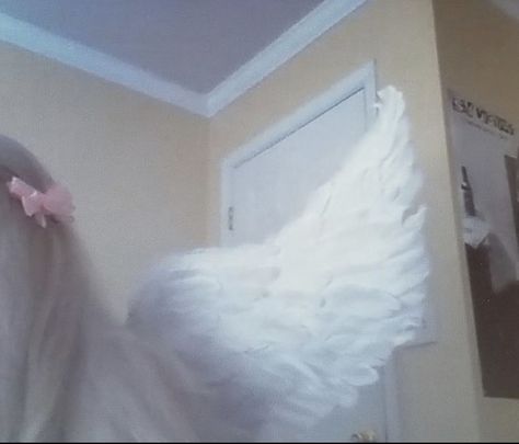 White Wings, Angel Wings, We Heart It, Angel, Lost, Hair, Pink, White