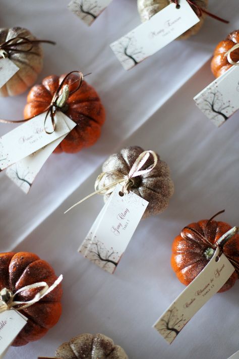 Pumpkin Place Setting Wedding, Thanksgiving Seating Cards, Fall Wedding Seating, Pumpkin Place Cards, Wedding Web, Place Setting Cards, Wedding Seating Cards, Halloween Names, Thanksgiving Place Cards