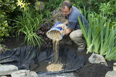 Create bog garden Wetland Garden Backyards, Bog Garden Plants Uk, Bog Garden Plants, Bog Garden Ideas How To Build, Bog Garden Ideas Carnivorous Plants, Bog Garden Ideas, Backyard Permaculture, Toad Garden, Bog Gardens