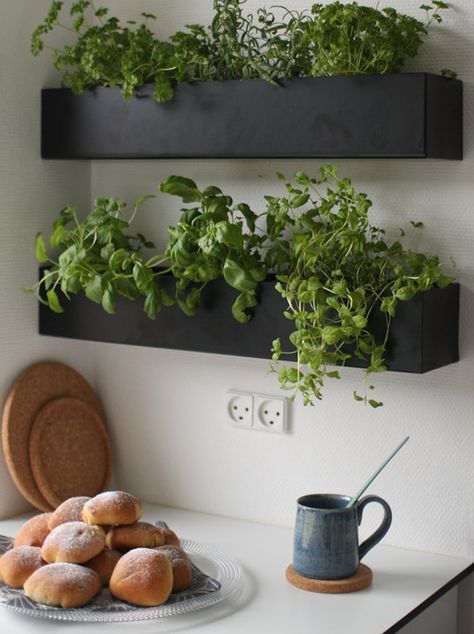 Housing Decor, Greenery Garden, Hotel Ideas, Herb Garden In Kitchen, Diy Herb Garden, Small Vegetable Gardens, Kitchen Plants, Kitchen Herbs, Indoor Herb Garden