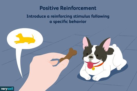 Positive reinforcement is often used in operant conditioning to increase the likelihood that certain behaviors will occur. Functional Literacy, Operant Conditioning, Behavioral Psychology, Facial Recognition Technology, Values Education, Behavior Modification, Literacy Skills, Positive Reinforcement, Machine Learning