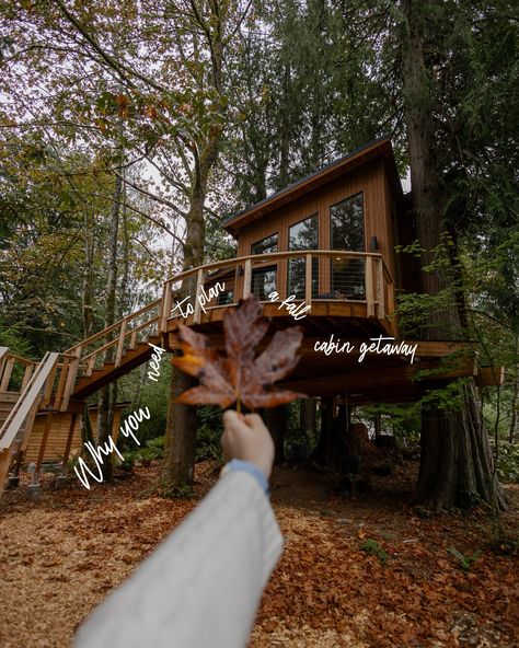 5 reasons why you need to plan a fall getaway!! ALSO today is your last day to enter and win a chance to stay in this dreamy treehouse 🤍🎞️📸✨ . #fall #treehouse #getaway #modernluxury #pnw #vacation Pnw Vacation, Fall Getaways, Getaway Cabins, Plan A, Tree House, Modern Luxury, Last Day, Cabin, How To Plan