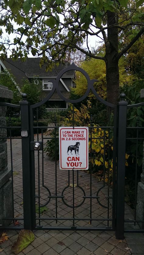 Beware Of Dog Sign Funny, Fence Quotes, Beware Of Dog Sign, Beware Of The Dog, Retirement Ideas, Dog Remedies, Beware Of Dog, Watch Movies Online, Dog Signs