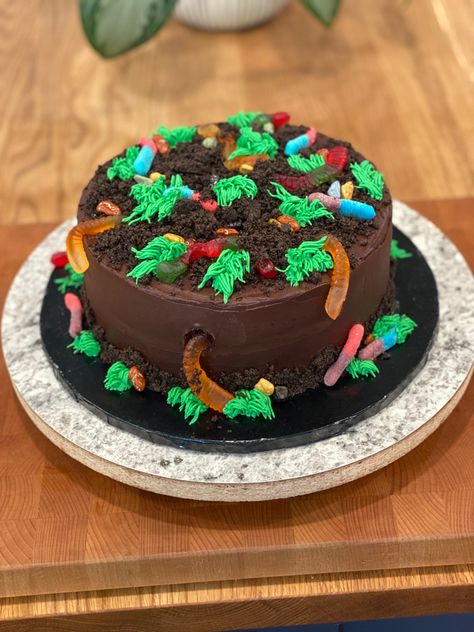 Dirt And Worms Cake, Bug Cake Ideas, Gummy Worm Cake, Dirt Birthday Cake, Dirt Cake With Gummy Worms, Dirt And Worms, Easy Cakes For Kids, Worm Cake, Bug Birthday Cakes