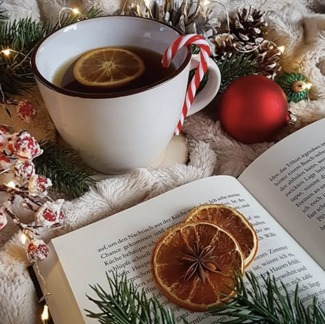 Dehydrate Citrus, Organic Tea Brands, Dehydrated Citrus, Tea Time Quotes, Bookstagram Photos, Hot Chocolate Drinks, Bookstagram Inspiration, Photography Winter, Christmas Shoot