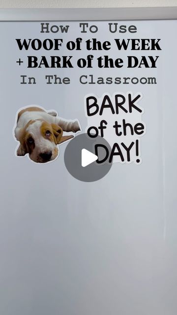 Reimagines | Add a personal touch to the classroom with custom Woof of the Week and Bark of the Day whiteboard clings! Your students will love seeing... | Instagram Woof Of The Week Classroom, Bark Of The Day Classroom, Dog Gravy, Whiteboard Ideas, Classroom Whiteboard, To My Dog, Bell Ringers, Teacher Organization, Brain Breaks